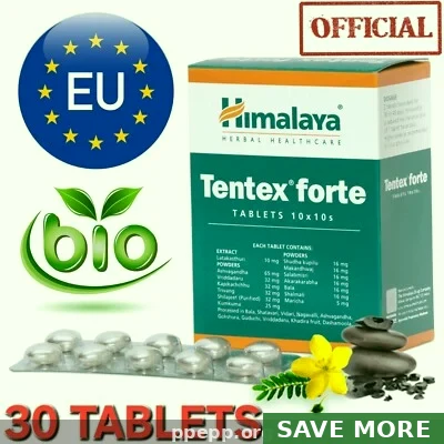 Generic Tentex Forte (Tentex) — Guide for Patients in USA