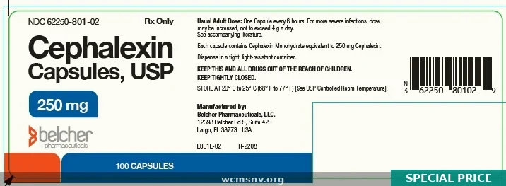 Cephalexin