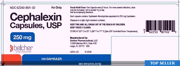Cephalexin