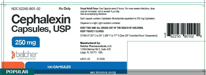 Cephalexin