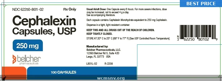 Cephalexin