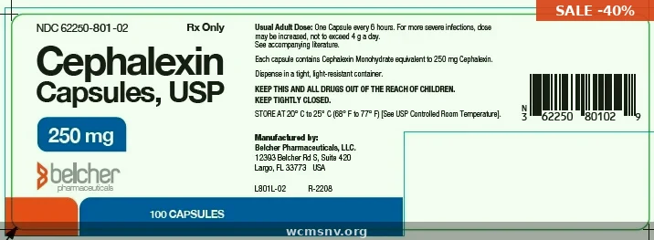 Cephalexin